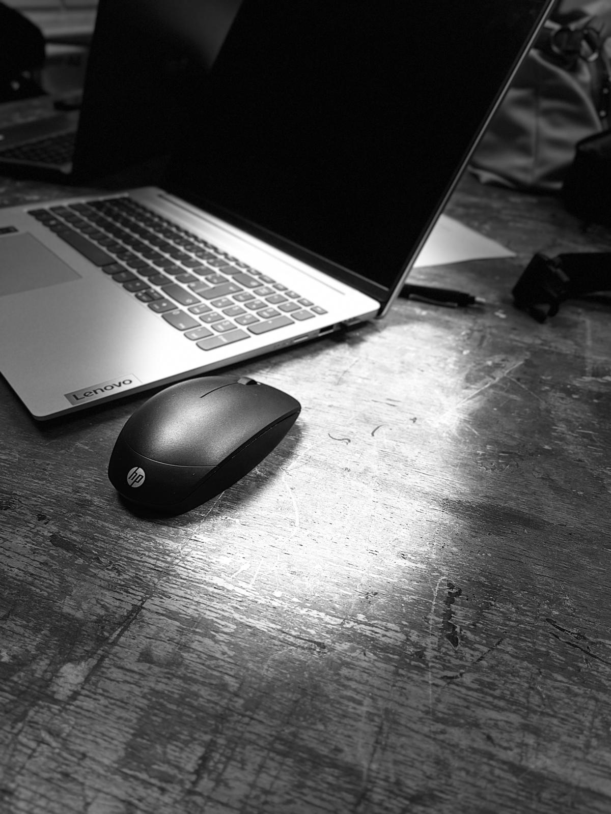 Silke Thamm arbeitet am Laptop